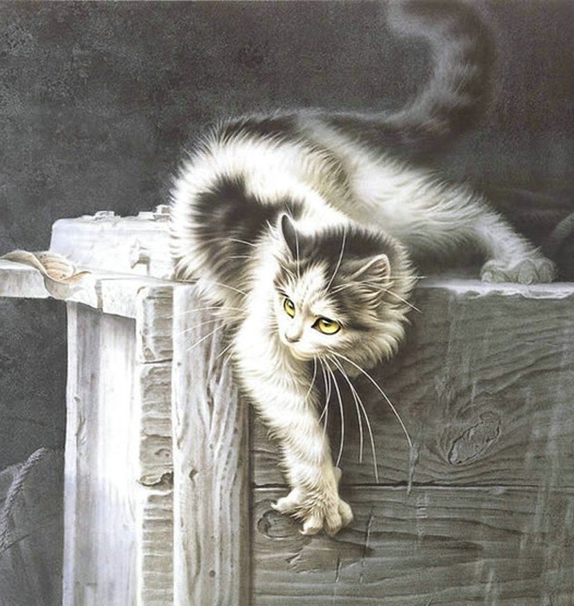 кот - животные, портрет, кот - оригинал