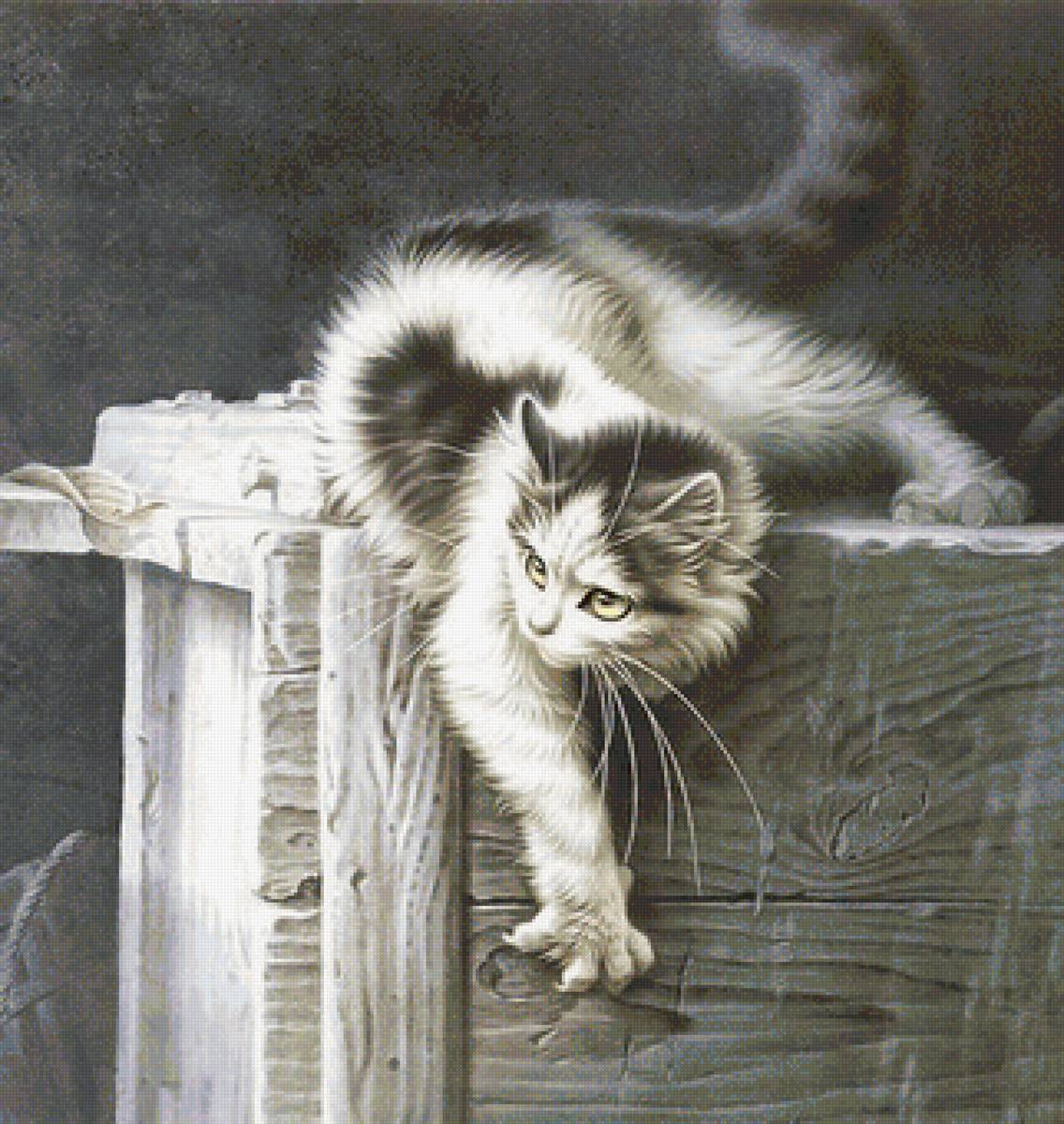 кот - животные, кот, портрет - предпросмотр