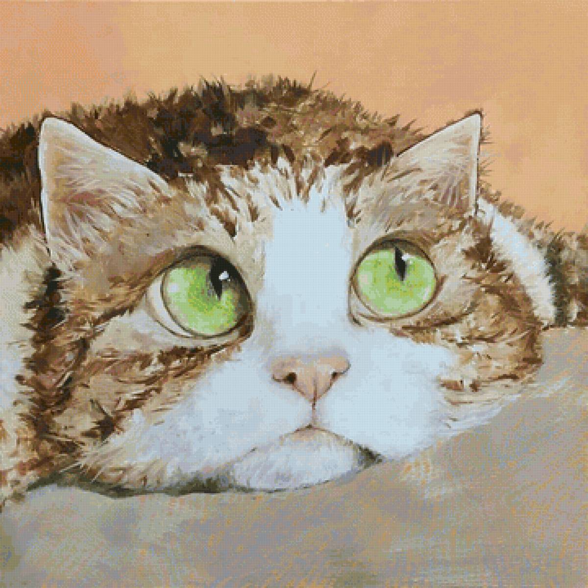 кот - животные, кот, портрет - предпросмотр