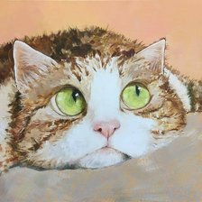 Схема вышивки «кот»