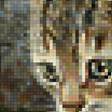 Предпросмотр схемы вышивки «кот» (№2301165)