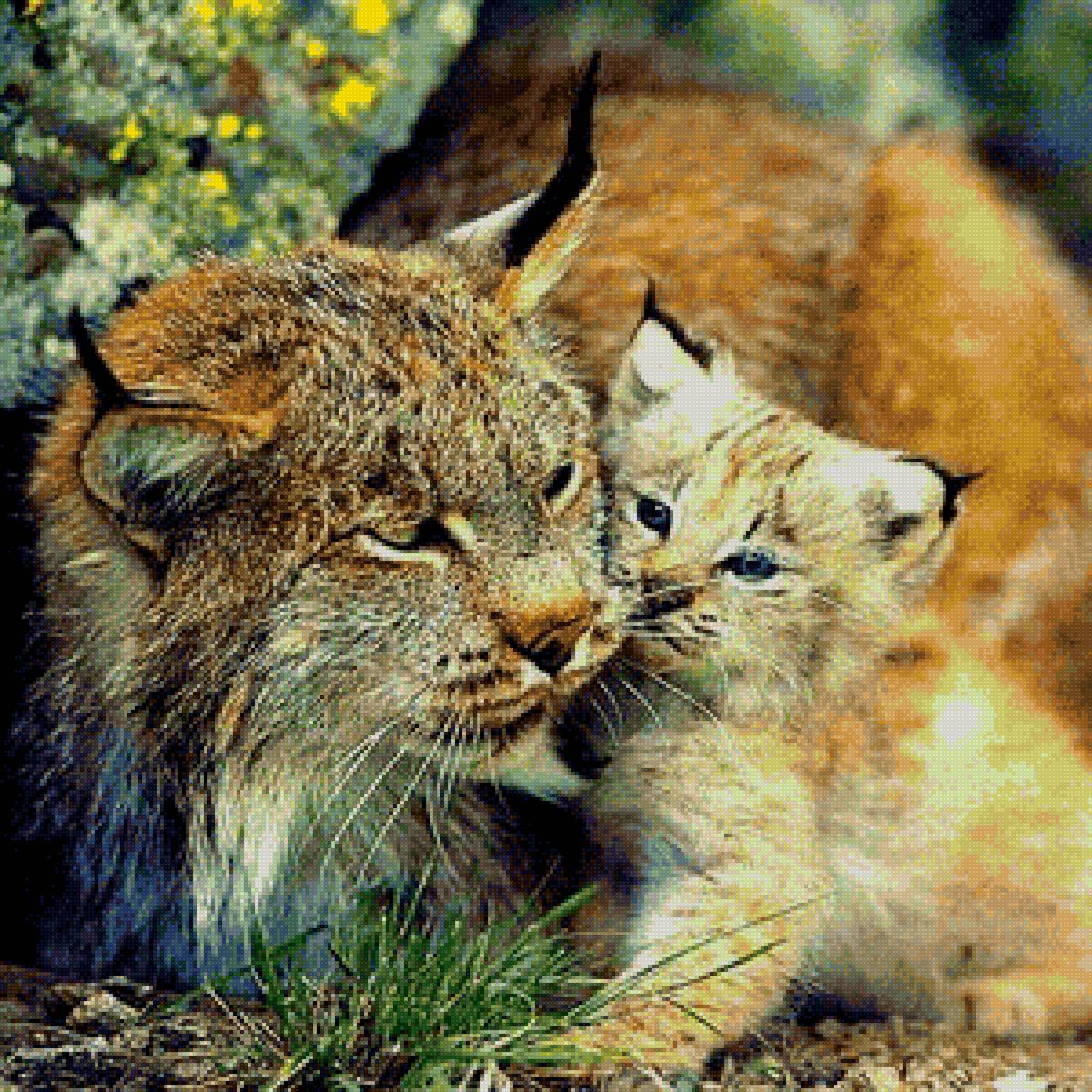 Мама - животные, природа, красота - предпросмотр