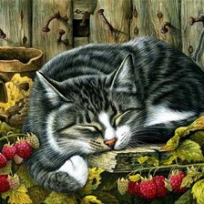 Схема вышивки «кот»