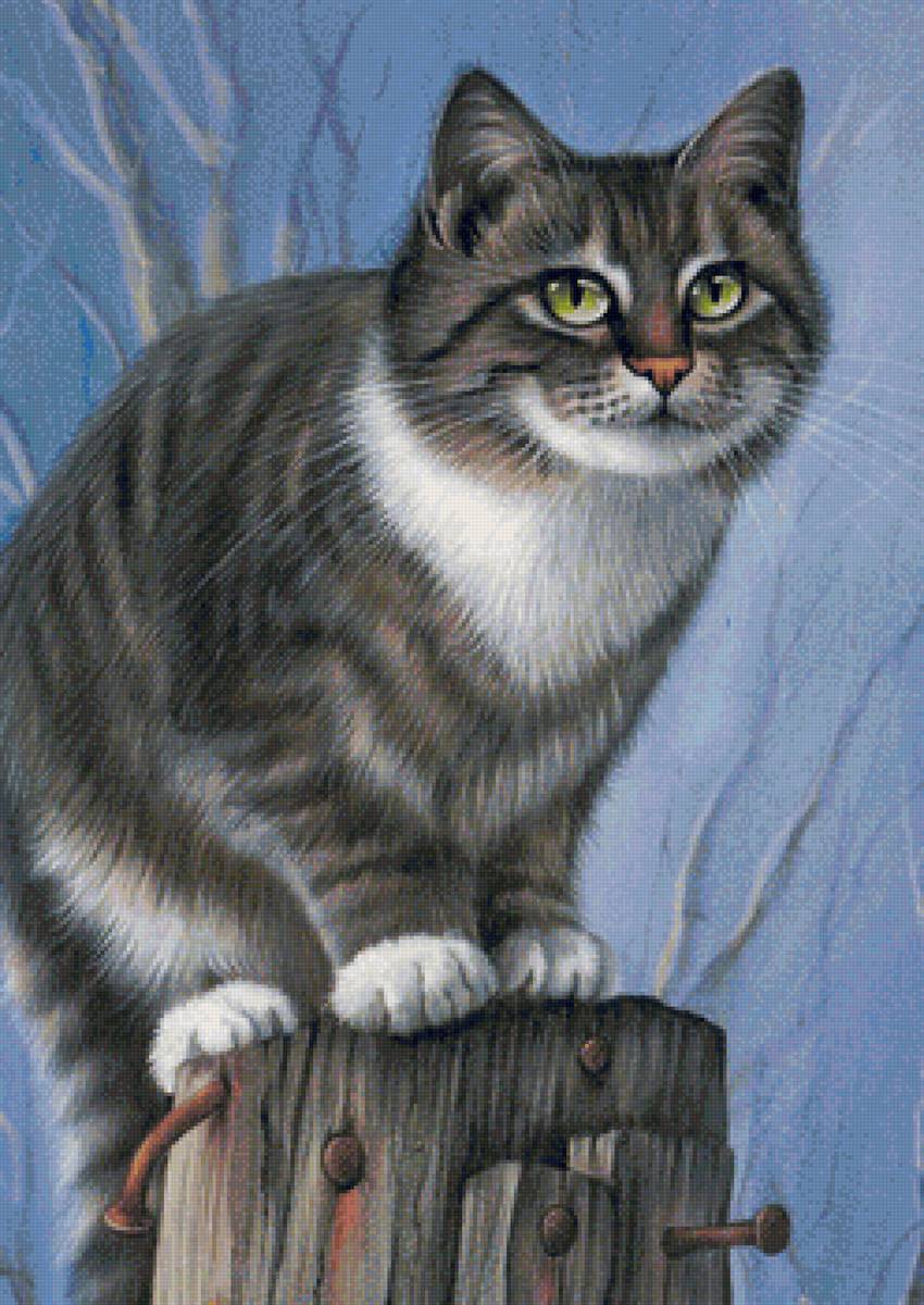 кот - животные, портрет, кот - предпросмотр