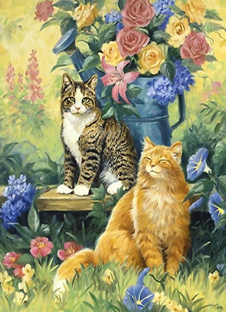 кот - кот, портрет, животные - оригинал