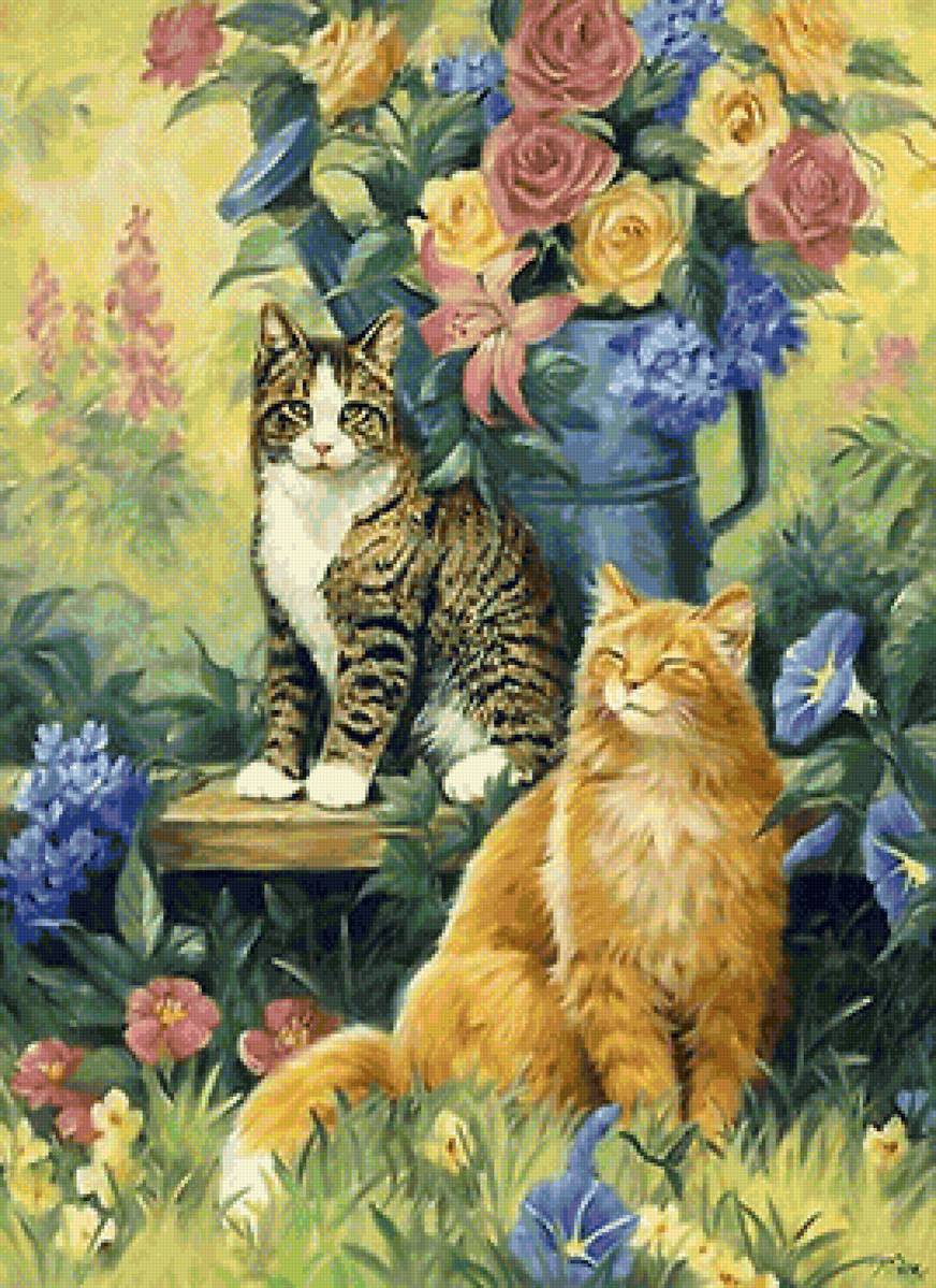 кот - портрет, кот, животные - предпросмотр