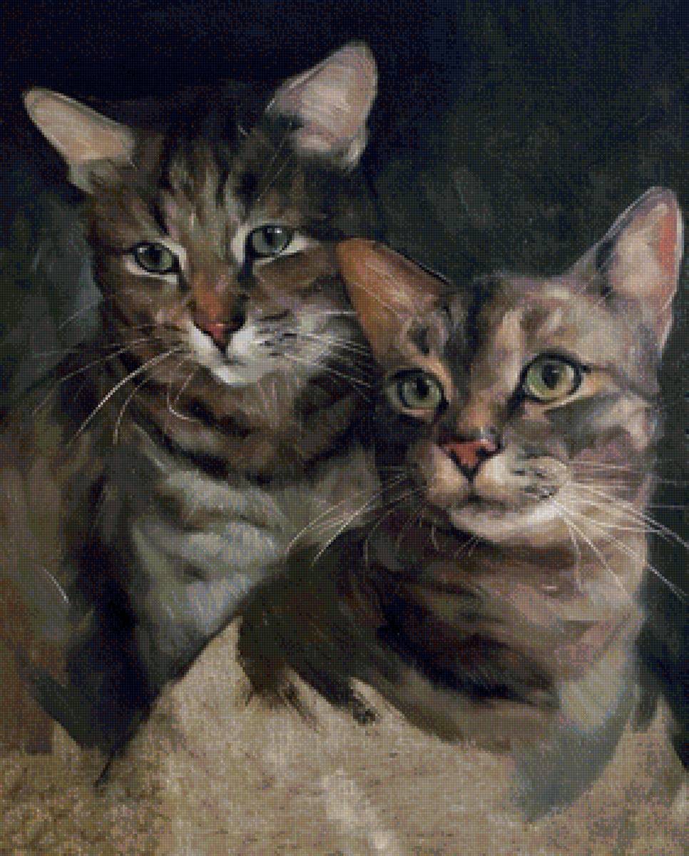 кот - портрет, кот, животные - предпросмотр