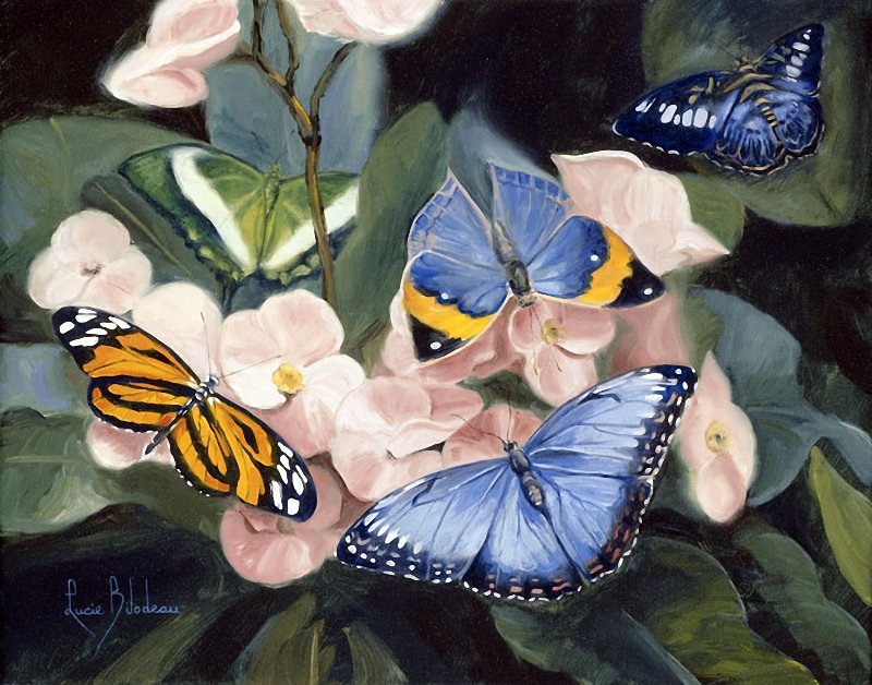 бабочки - цветы, бабочки - оригинал