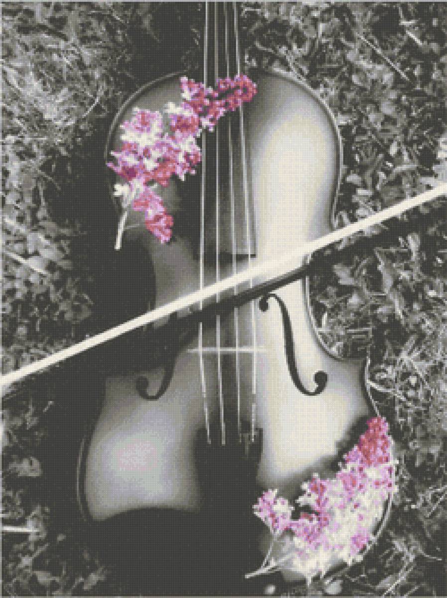 viola - white, music, black, flower, instrument - предпросмотр