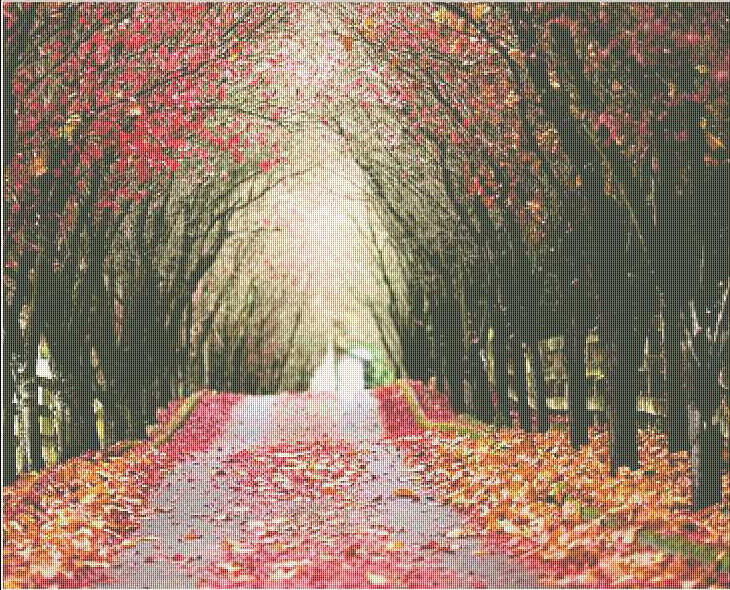 running trail - nature, leaves, tree, fall - оригинал