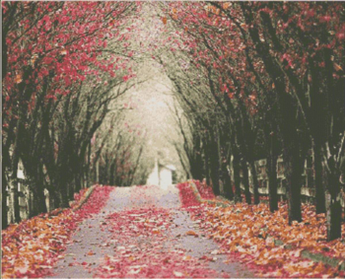 running trail - tree, nature, fall, leaves - предпросмотр