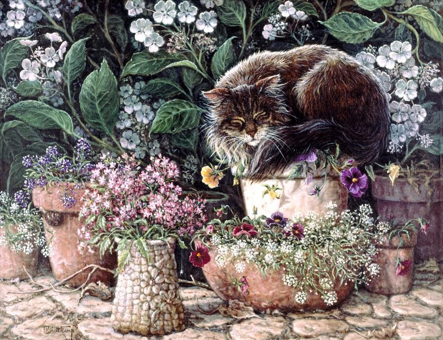 кот - животные, портрет, кот - оригинал