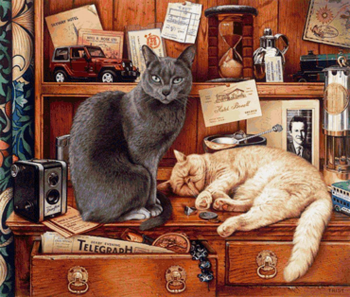 кот - кот, животные, портрет - предпросмотр