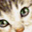 Предпросмотр схемы вышивки «кот» (№2301670)