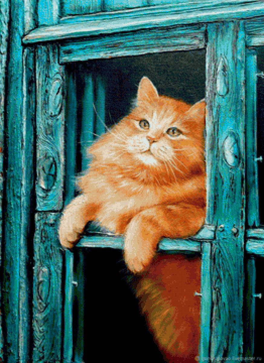 кот - портрет, кот, животные - предпросмотр