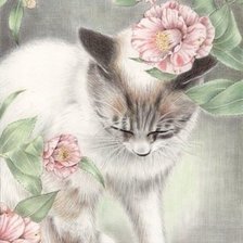 Схема вышивки «кот»