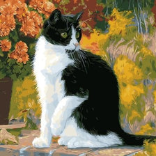 Схема вышивки «кот»