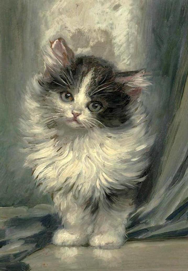 кот - животные, кот, портрет - оригинал