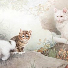 Схема вышивки «кот»