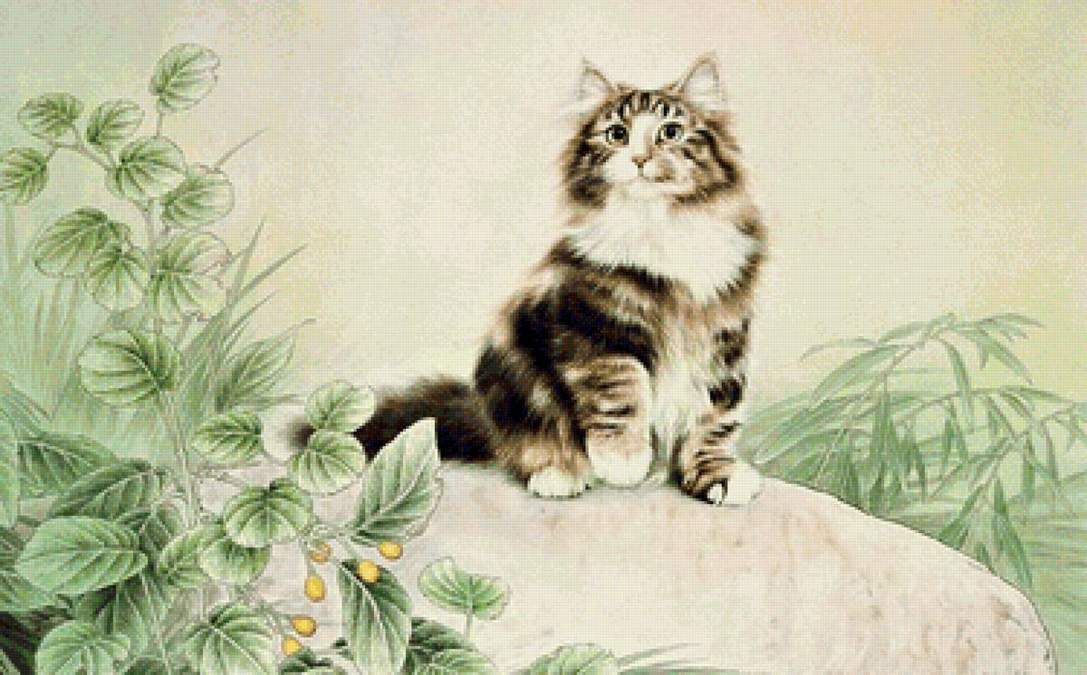 кот - животные, портрет, кот - предпросмотр