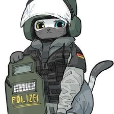 Кот спецназ