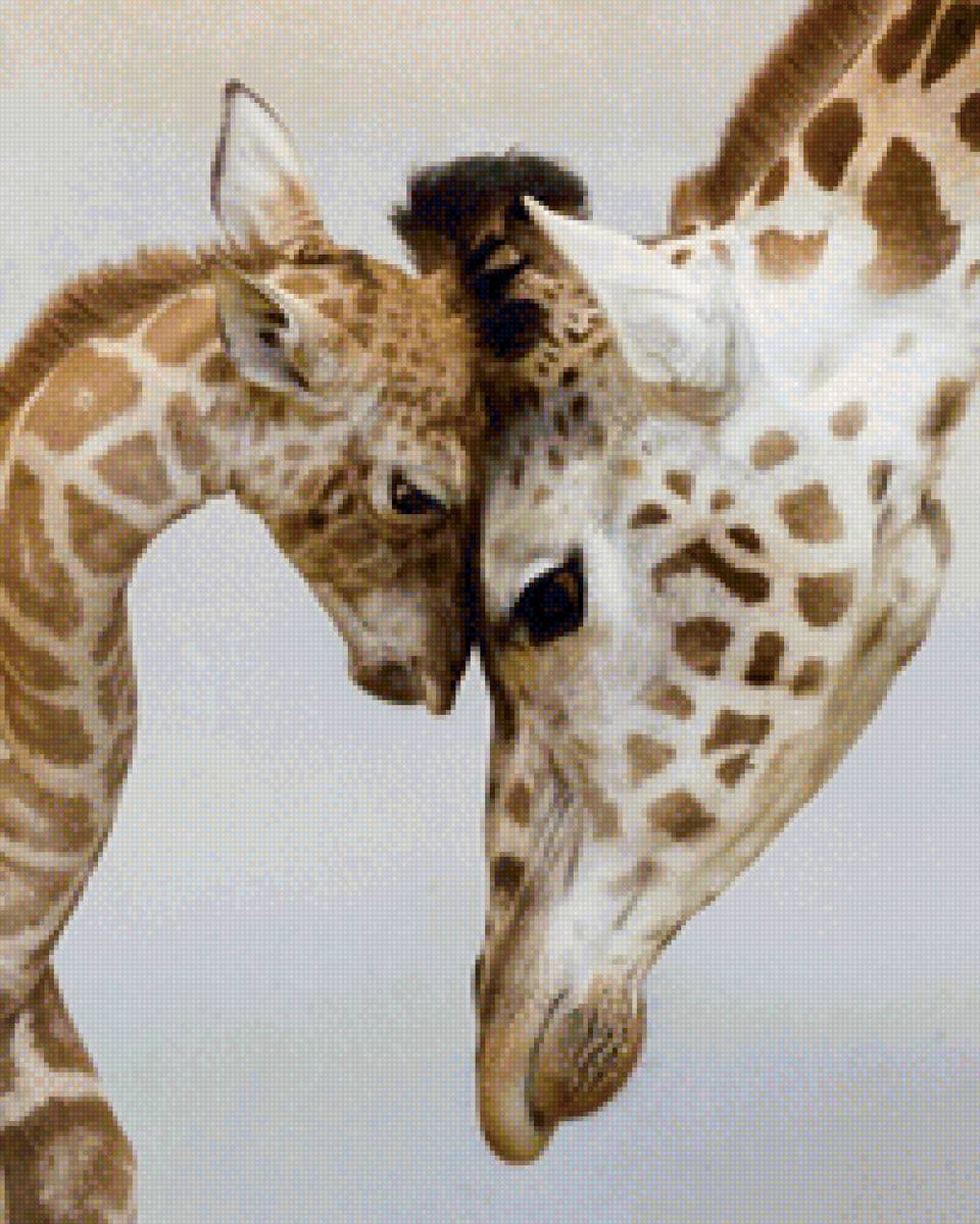 Жирафики - жираф, мама и детеныш - предпросмотр