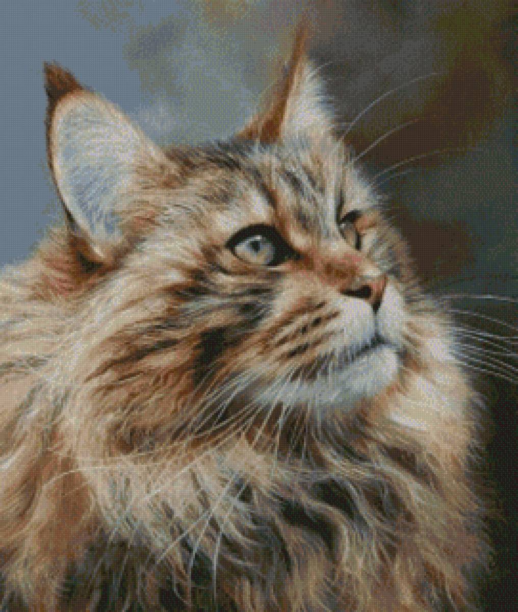 котя - предпросмотр