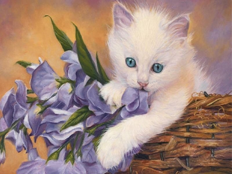 кот - животные, портрет, кот - оригинал