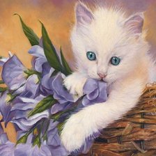 Схема вышивки «кот»