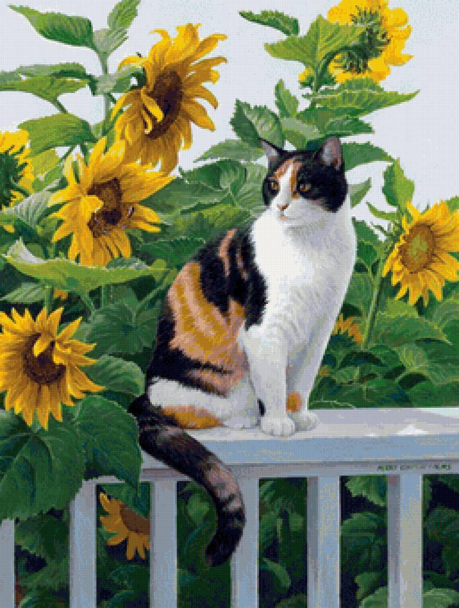 кот - кот, портрет, животные - предпросмотр