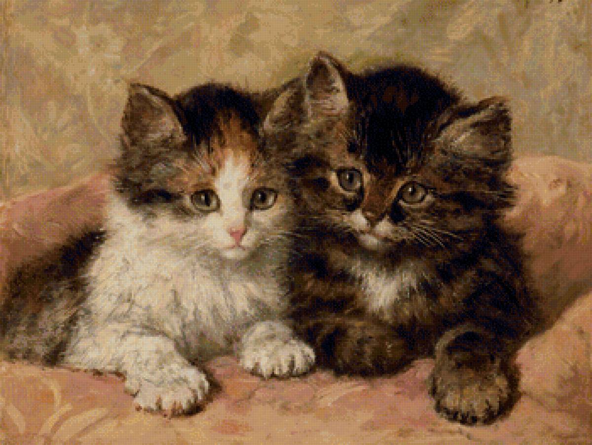 кот - животные, кот, портрет - предпросмотр