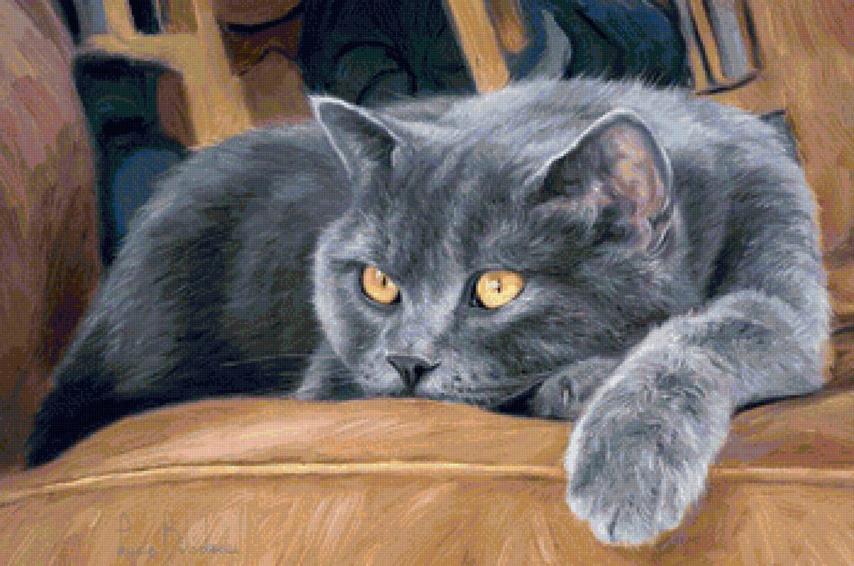 кот - кот, животные, портрет - предпросмотр