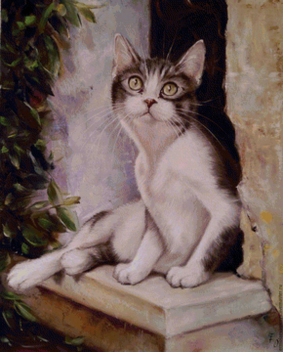 кот - портрет, кот, животные - предпросмотр