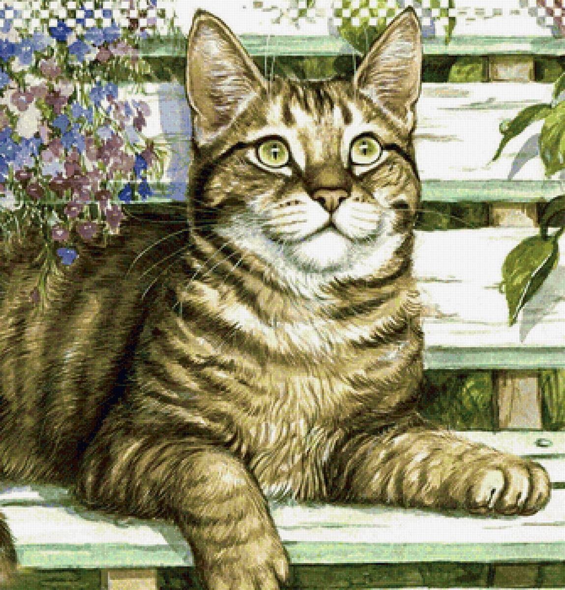 кот - портрет, животные, кот - предпросмотр