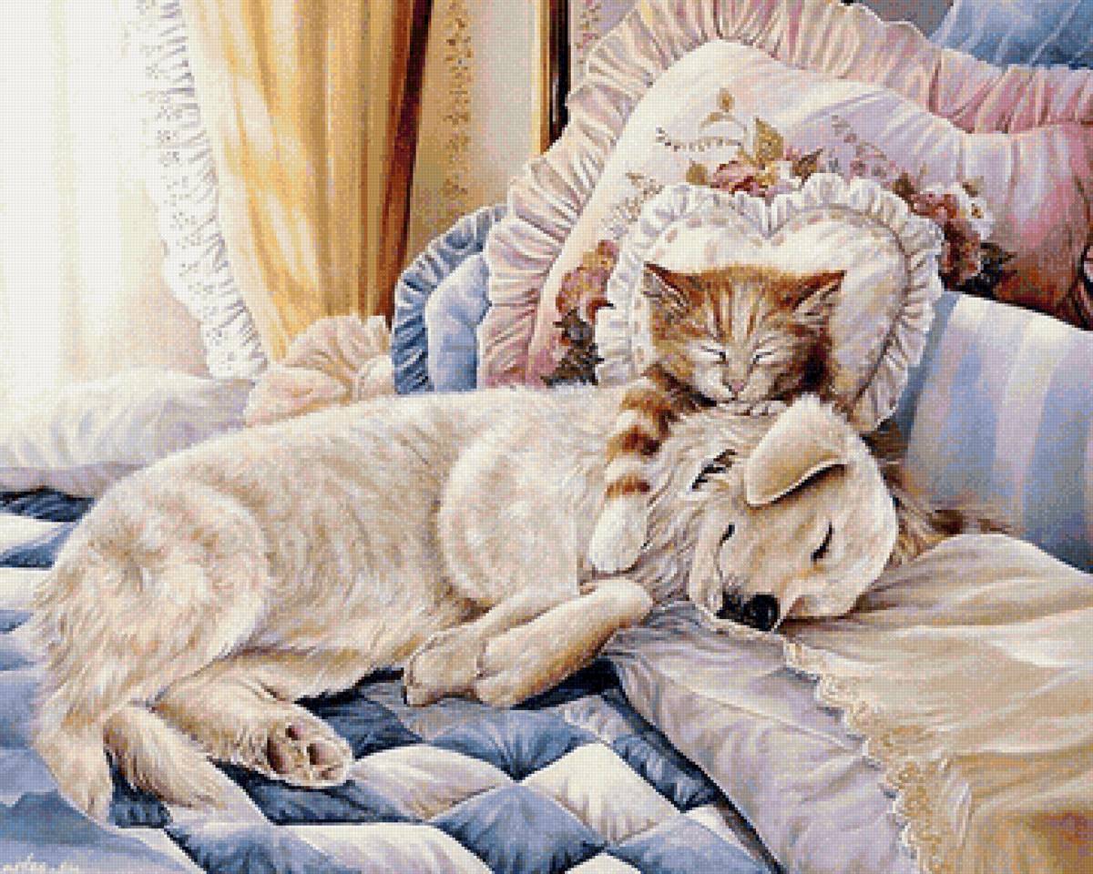 друзья - портрет, кот, животные - предпросмотр