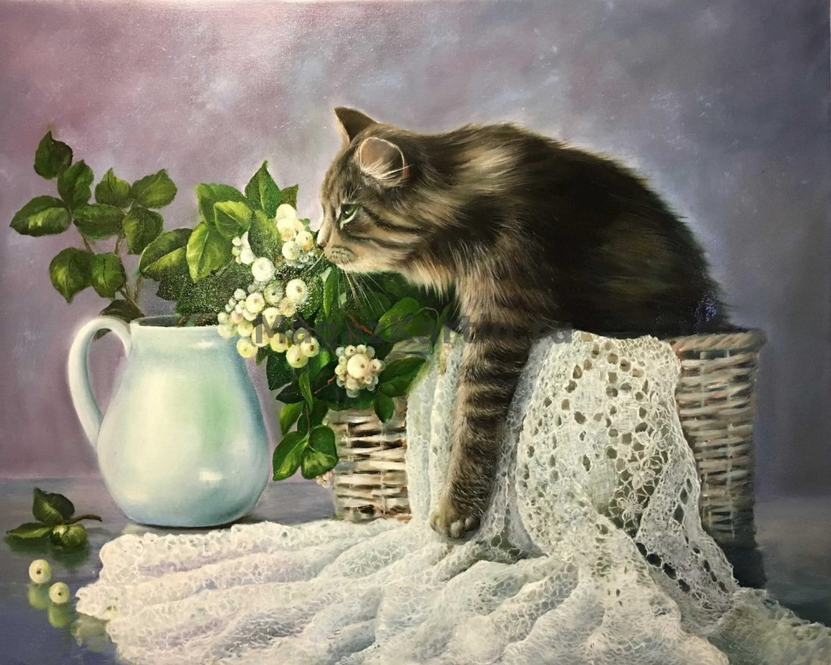 кот - кот, портрет, животные - оригинал