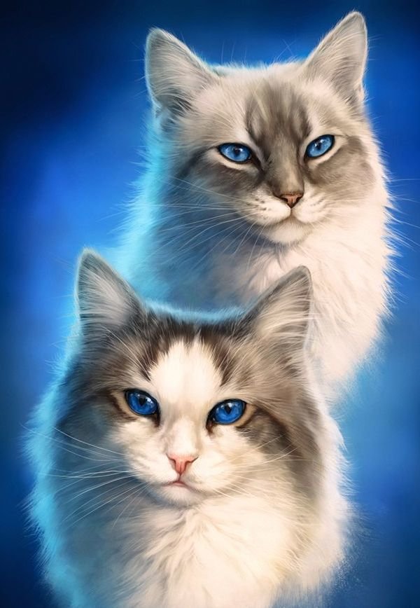 кот - животные, портрет, кот - оригинал