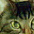 Предпросмотр схемы вышивки «кот» (№2302514)