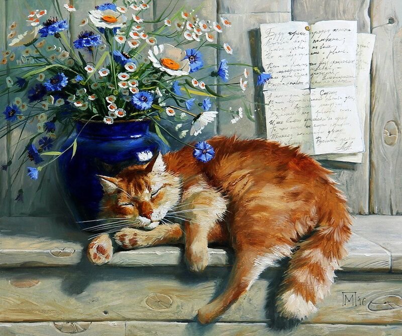 кот - кот, портрет, животные - оригинал