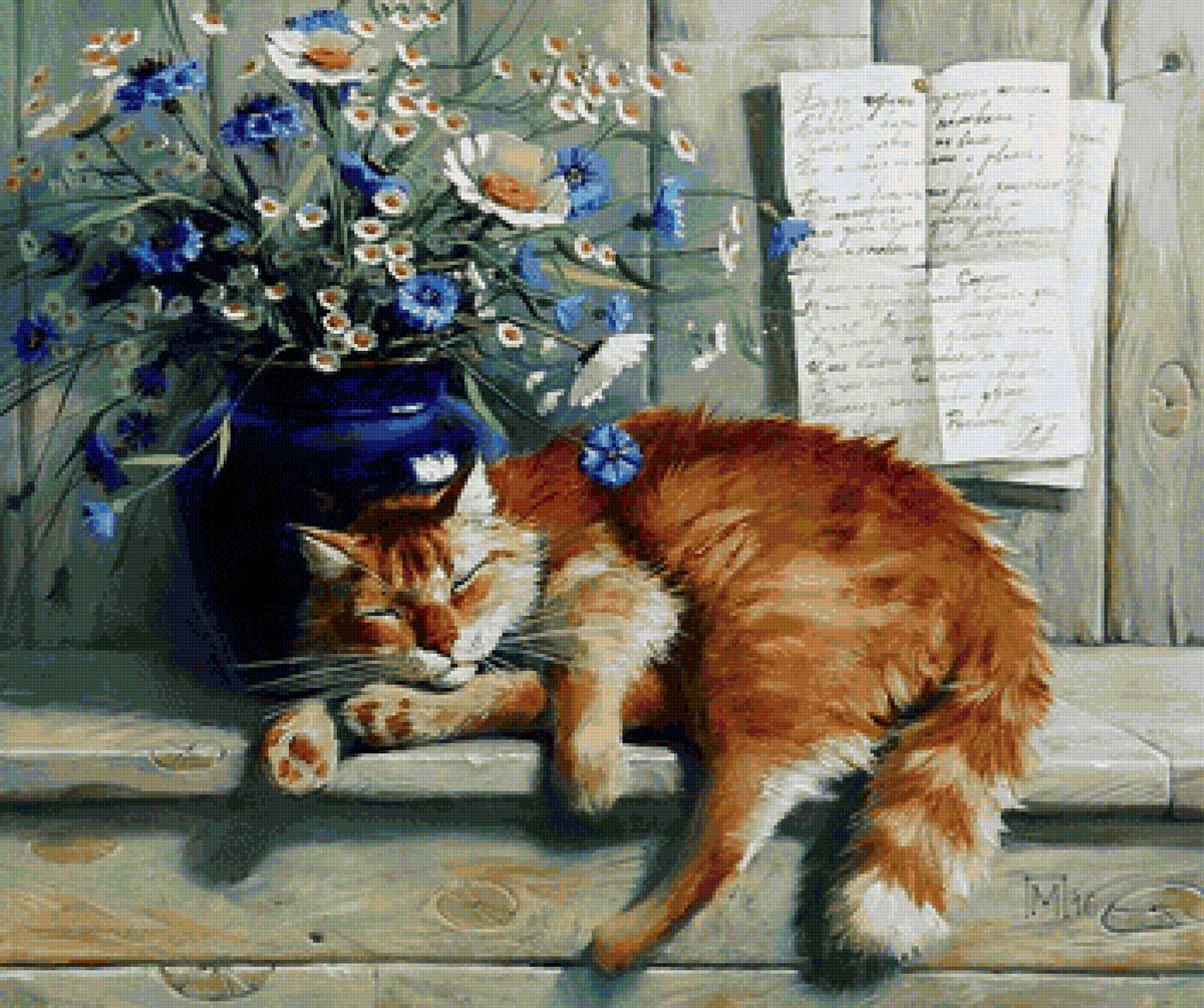 кот - кот, портрет, животные - предпросмотр