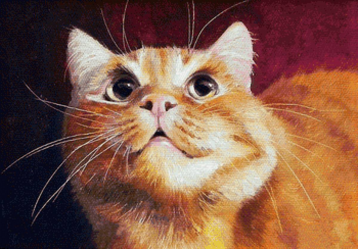 кот - кот, животные, портрет - предпросмотр