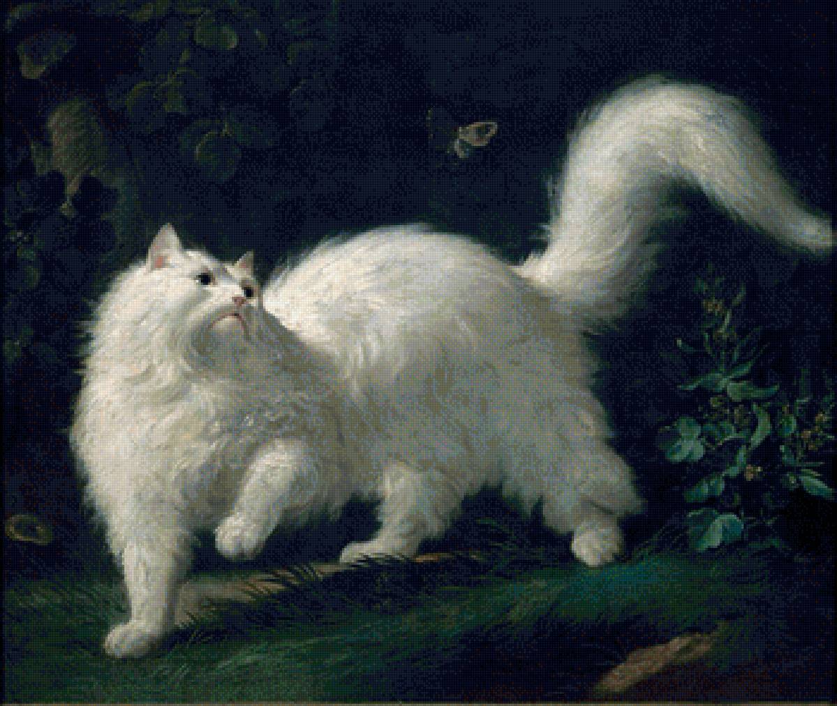 кот - кот, портрет, животные - предпросмотр