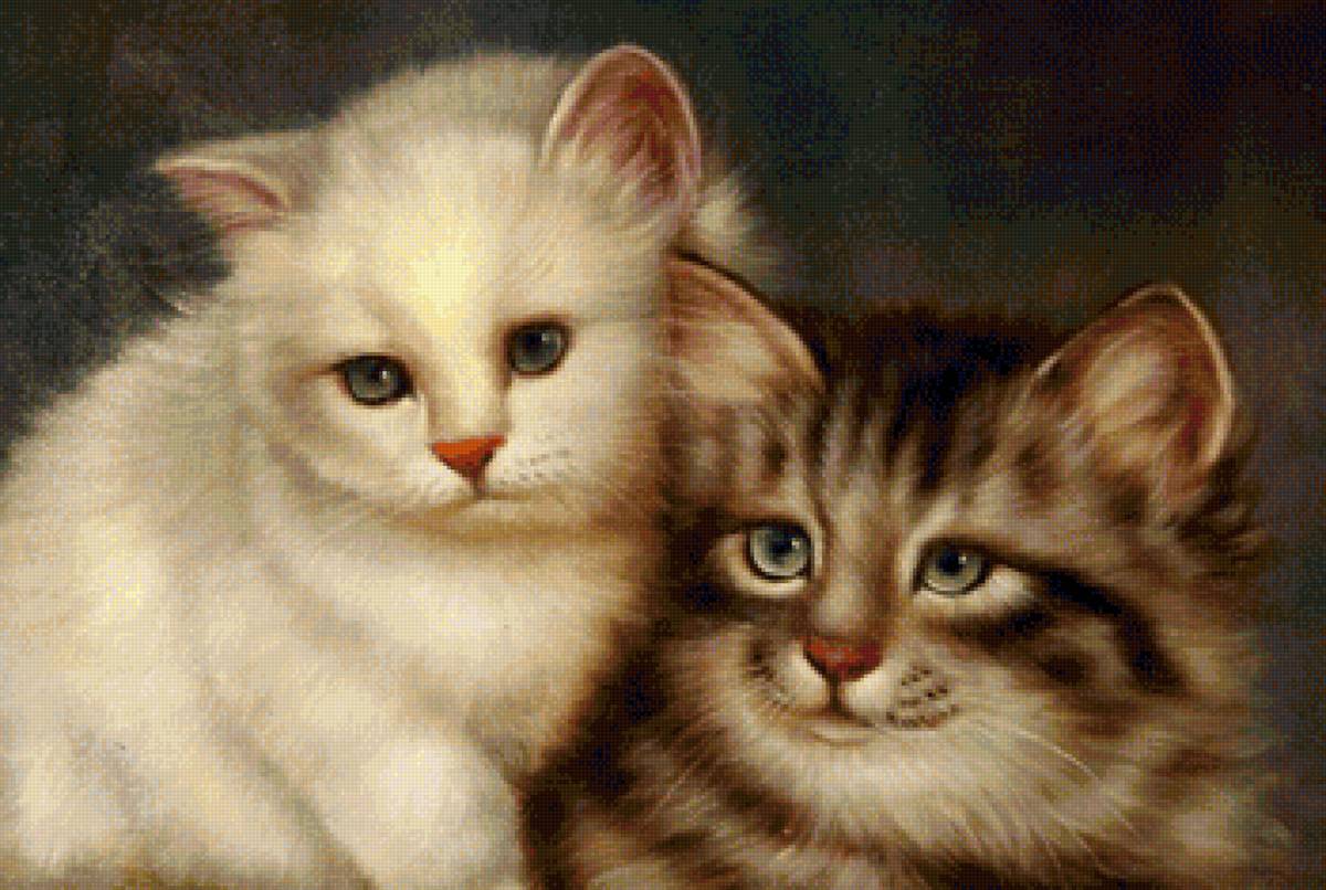 кот - кот, животные, портрет - предпросмотр