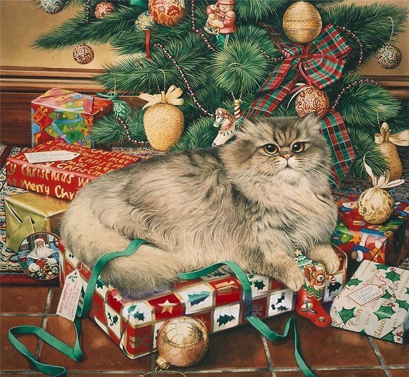 кот - кот, животные, портрет - оригинал