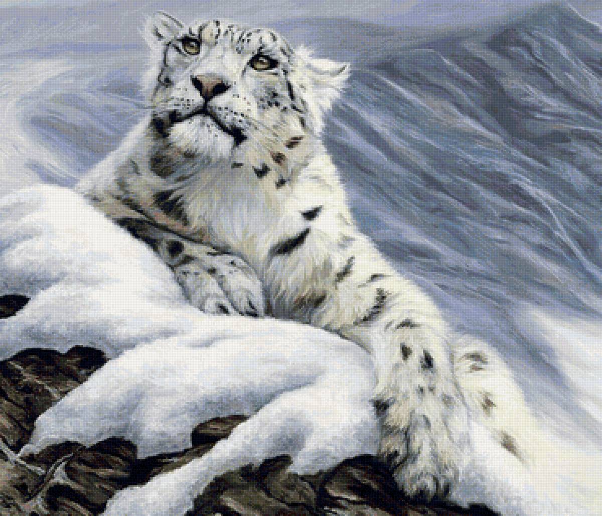 барс - зима - предпросмотр