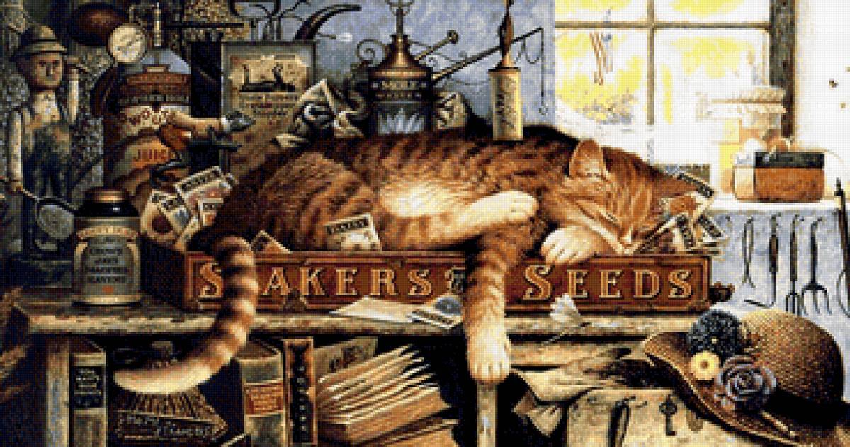 кот - животные, портрет, кот - предпросмотр