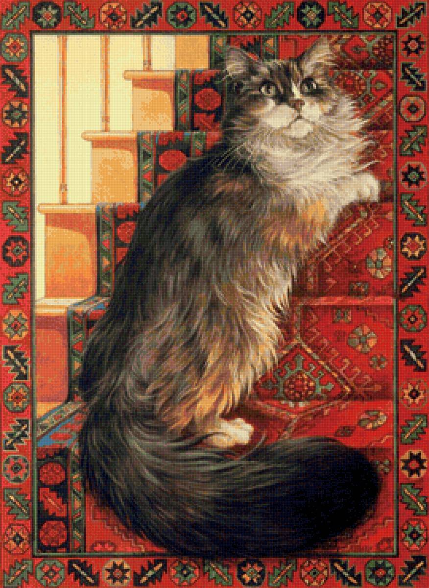 кот - животные, портрет, кот - предпросмотр