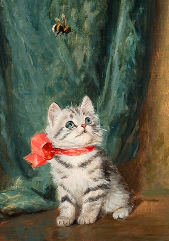 кот - кот, портрет, животные - оригинал