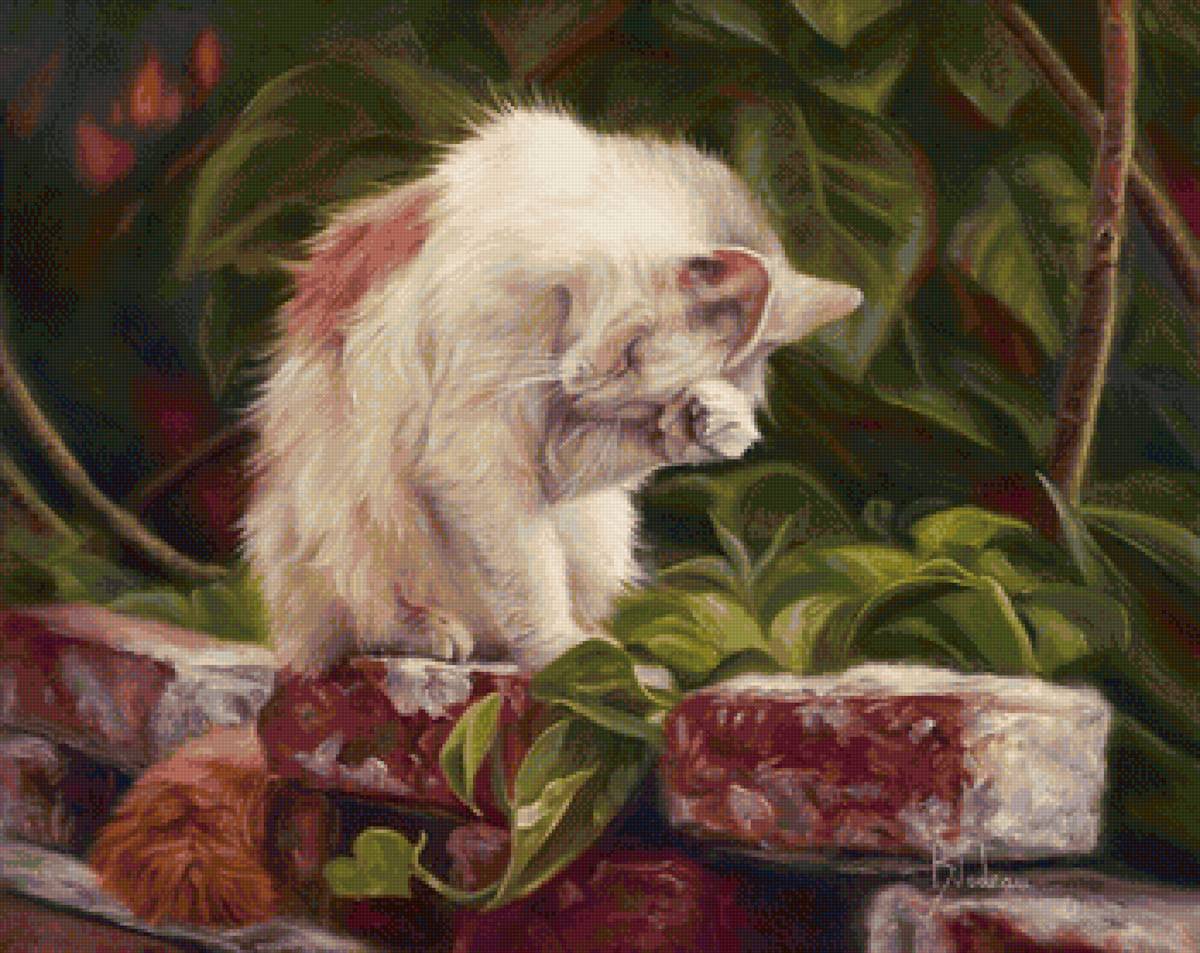 кот - кот, портрет, животные - предпросмотр