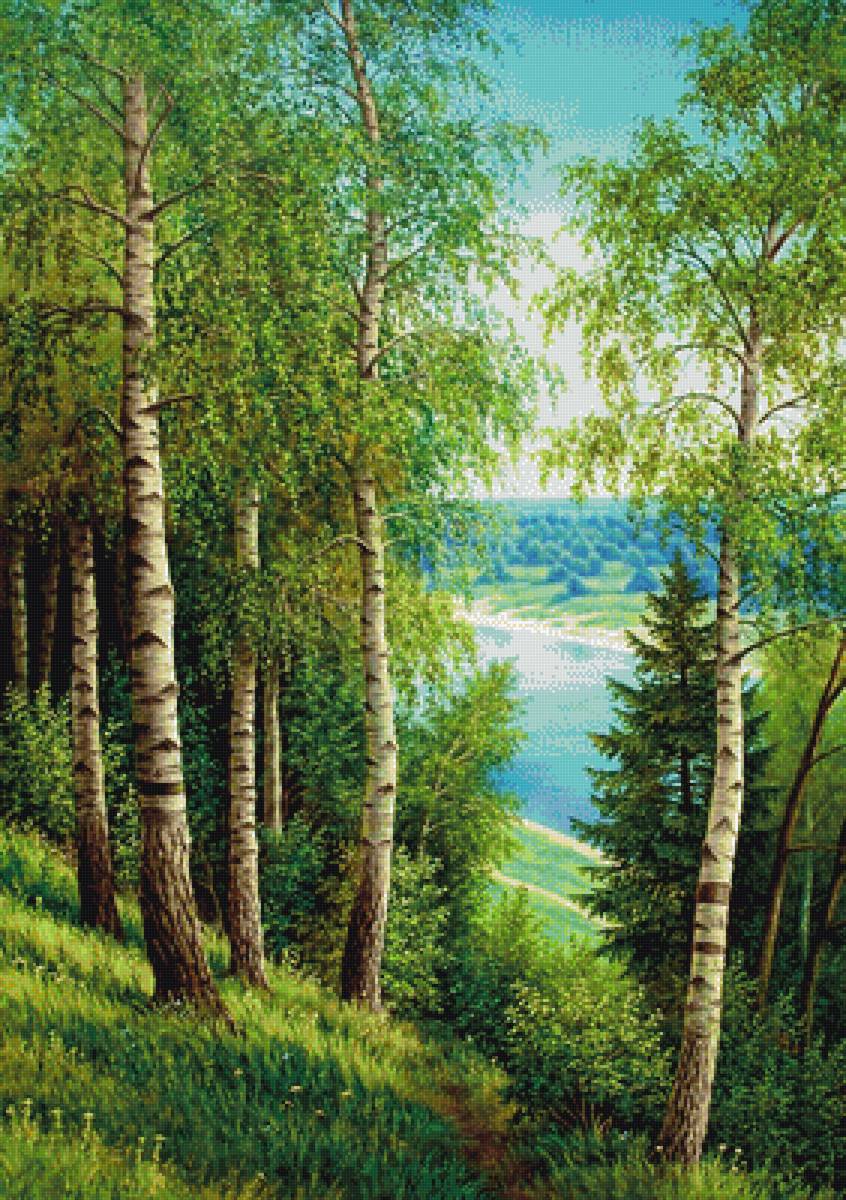 Березовая роща - пейзаж, березы, небо, река - предпросмотр